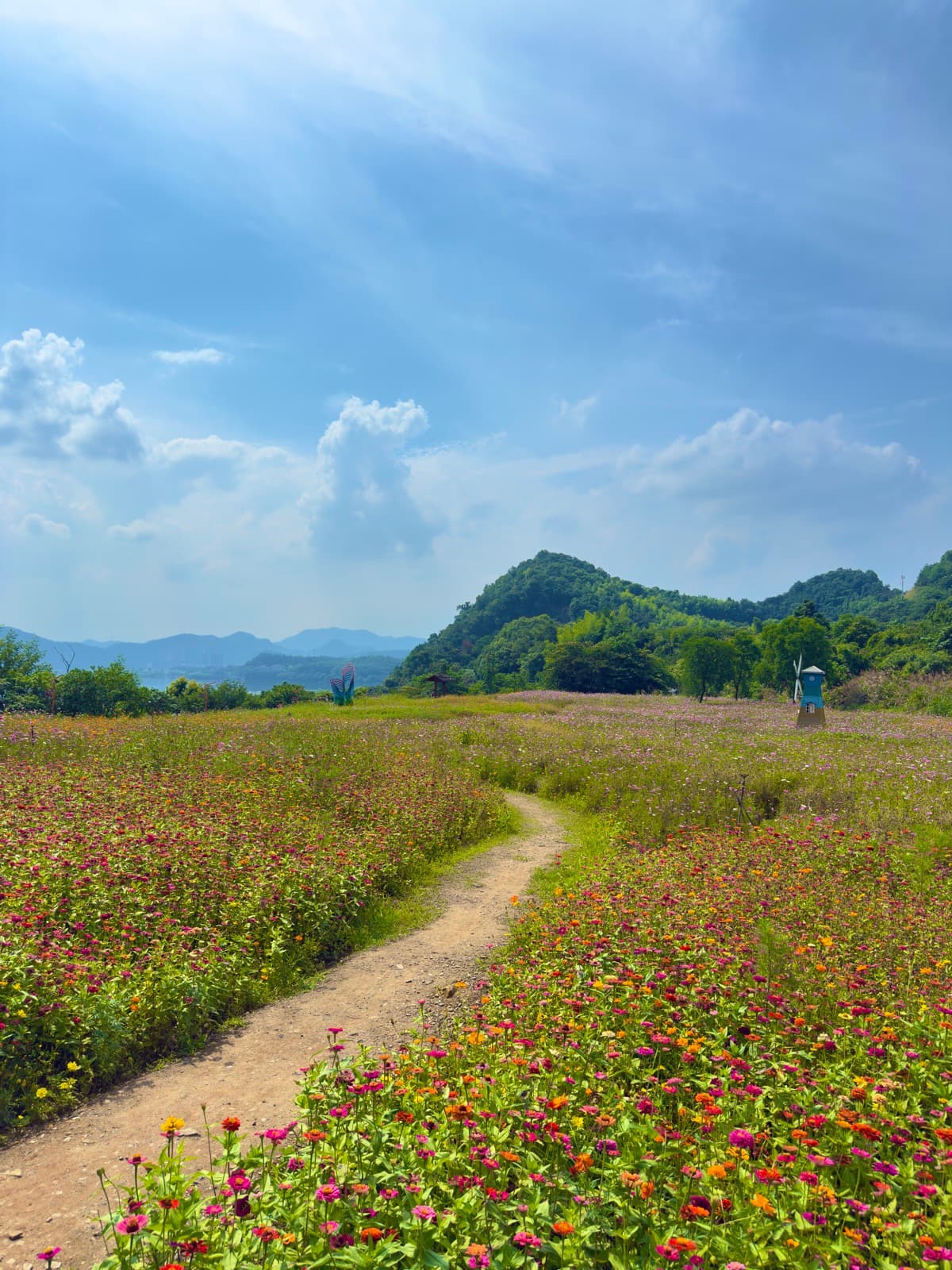 A dirt path winding through a hillside field of pink and orange wildflowers under a blue sky with distant mountains.